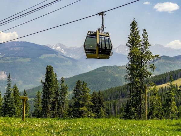 A yellow cable car (gondola) hangs above a green alpine meadow with pine trees and mountains in the background.
