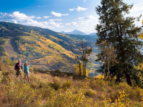 A couple walks on a hillside through autumn wildflowers, with pine trees and rolling mountains under a bright blue sky and clouds.