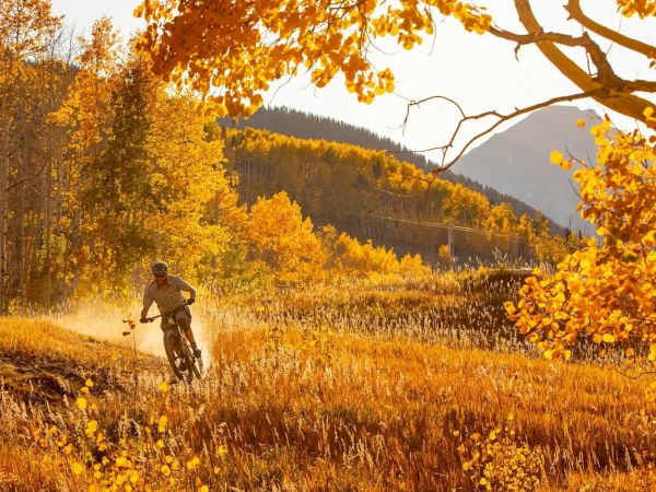 A cyclist rides through a golden autumn valley, with sunlit trees and leaves framing the scene.