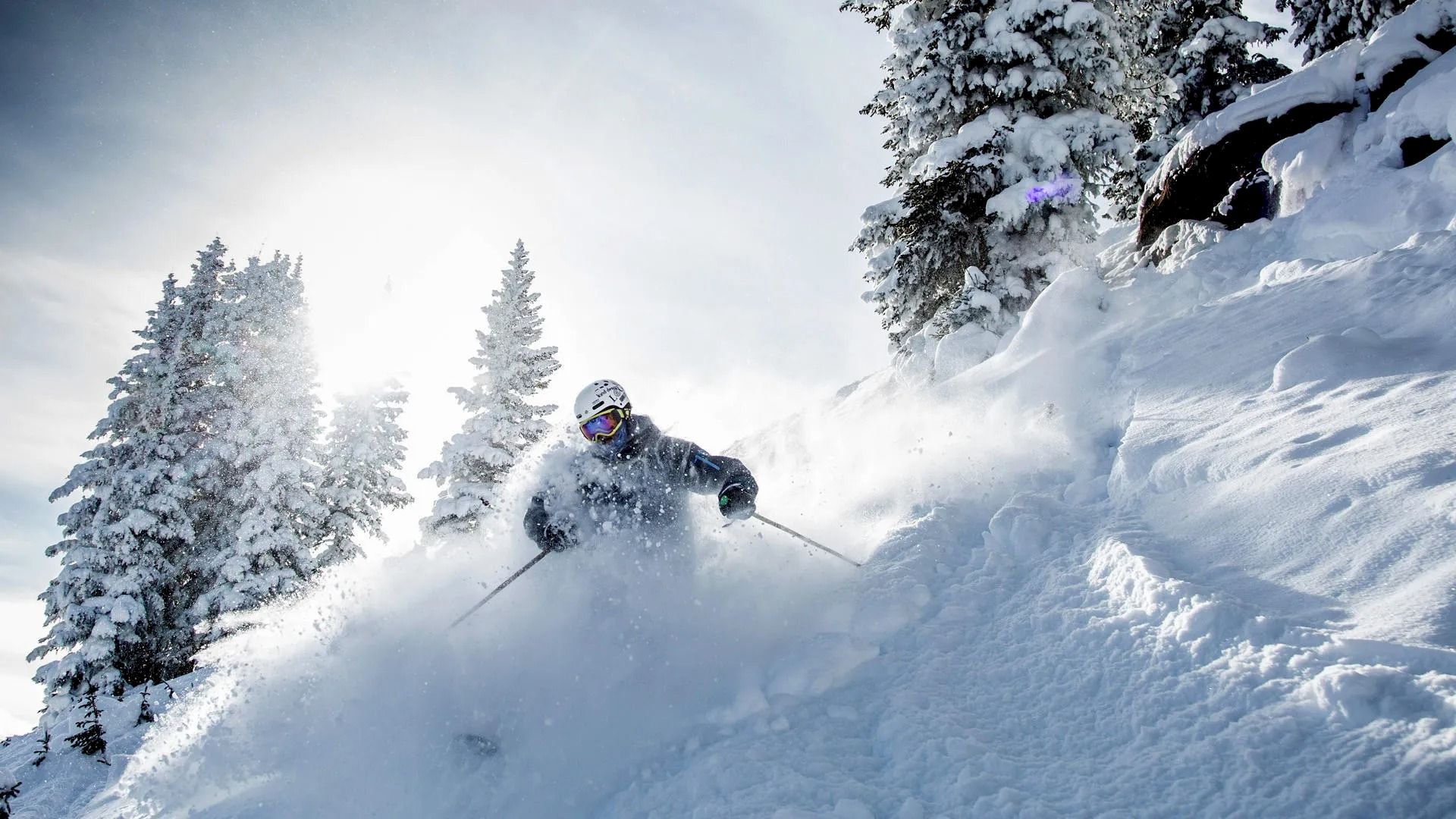 A skier is carving through fresh powder snow on a mountainside, surrounded by snow-covered trees and illuminated by bright sunlight.