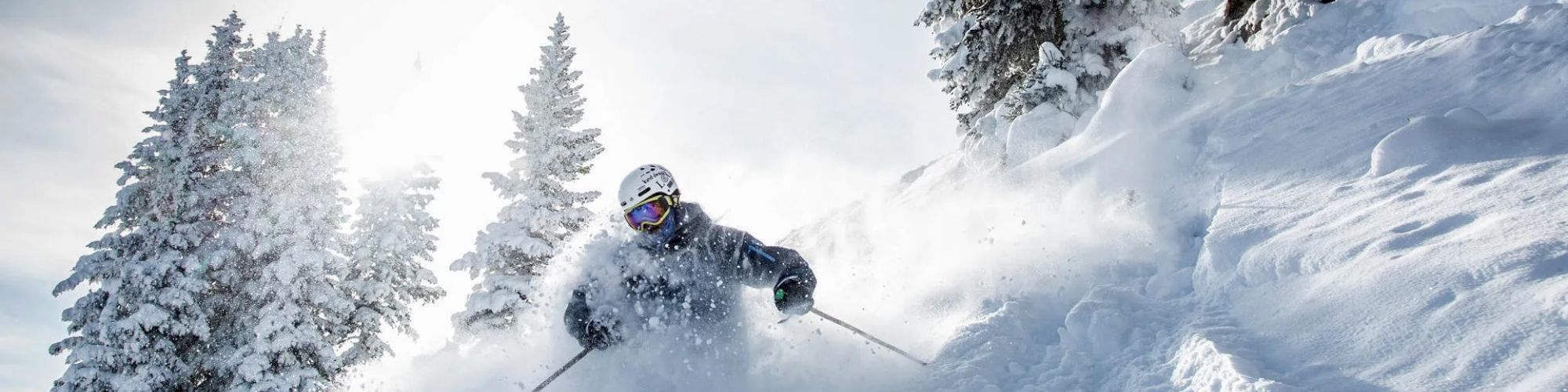 A skier is carving through fresh powder snow on a mountainside, surrounded by snow-covered trees and illuminated by bright sunlight.