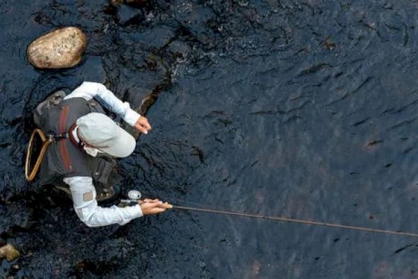 A person is fly fishing in a river, viewed from above, wearing fishing gear and holding a fishing rod.