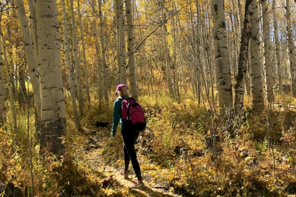 A person is hiking in a forest with tall trees and yellow autumn leaves on the ground, carrying a backpack and walking along a path.