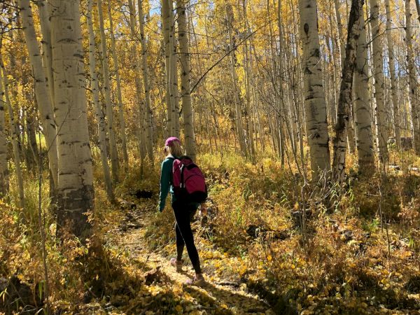A person is hiking in a forest with tall trees and yellow autumn leaves on the ground, carrying a backpack and walking along a path.
