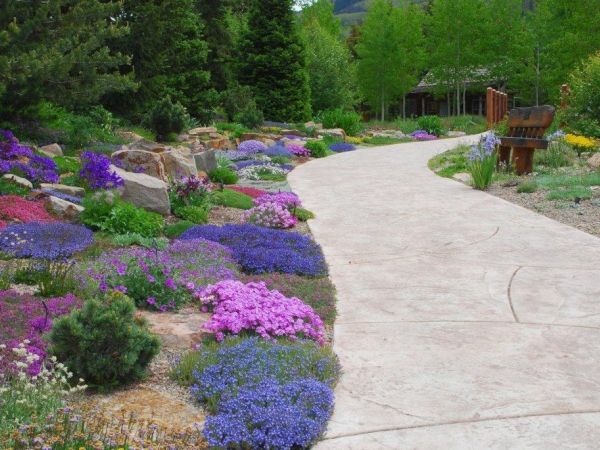 A scenic pathway winds through a vibrant garden filled with purple, pink, and green foliage, surrounded by lush trees and wooden benches at intervals.