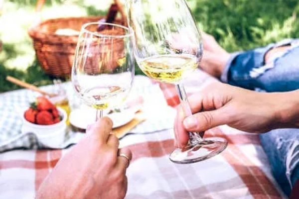 Two people clinking wine glasses during a picnic; a basket and strawberries are visible in the background on a checkered blanket.