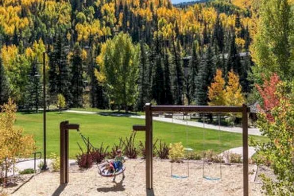 A playground with a swing set and a child on a circular swing, surrounded by trees with autumn foliage and a grassy field in the background.