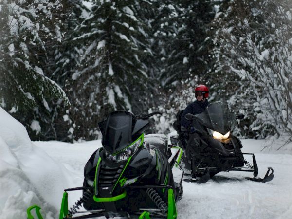 Two snowmobiles on a snow-covered path in a forested area. One person is riding the snowmobile in the background, surrounded by trees.