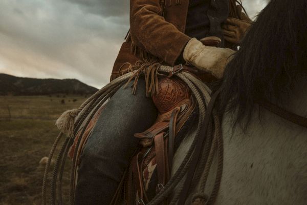 A person wearing gloves and a brown jacket is sitting on a saddled horse, holding the reins with a scenic background.