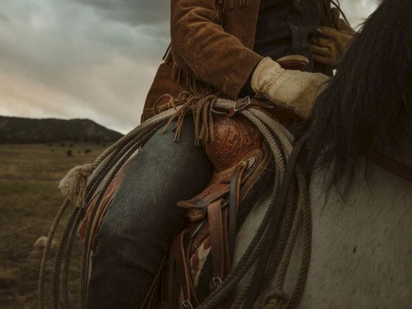 A person wearing gloves and a brown jacket is sitting on a saddled horse, holding the reins with a scenic background.