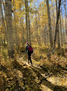 A hiker with a red backpack walking through a forest with tall trees and golden autumn leaves under a clear blue sky.