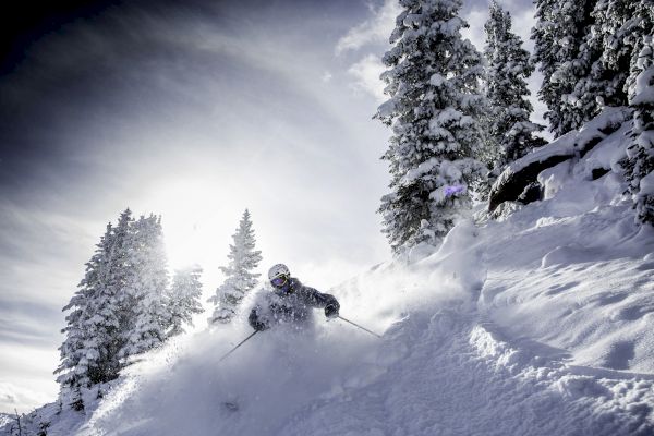 A skier navigates through powder on a snowy slope, with sunlit trees in the background, creating a dynamic and exhilarating scene.