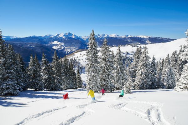 People skiing down a snowy slope with snow-covered trees and mountain peaks in the background under a clear blue sky.